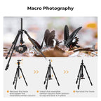 K&F Concept 76 inch Camera Tripod - Image 2