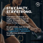 Venture Pal High Sodium Electrolyte Powder Packets | Sugar Free Hydration Drink - Image 4