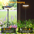 Solar Lights Outdoor Garden 4 Pack Solar Pathway Light 31" Tall Solar Landscape - Image 3
