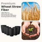 Homienly Wheat Straw Drinkware 12oz Unbreakable Drinking Glasses 6-Piece - Image 4