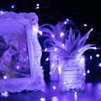 Halloween Purple Fairy String Lights: 12 Pack 7 Ft 20 LED Battery Operated - Image 4