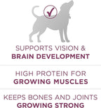 Purina ONE Puppy Food, High Protein Formula | Natural Ingredients | Added - Image 6