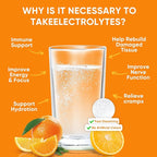 Venture Pal Sugar Free Electrolytes Powder Packets - Image 5