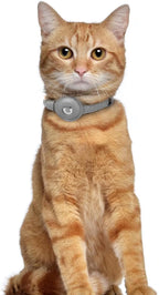 OOPSDOGGY Leather AirTag Cat Collar - Image 6
