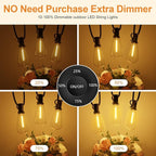 100FT Remote Outdoor String Lights - Image 5