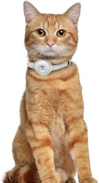 OOPSDOGGY Leather AirTag Cat Collar - Image 6