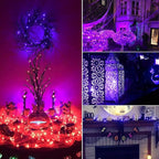 Halloween Purple Fairy String Lights: 12 Pack 7 Ft 20 LED Battery Operated - Image 2