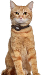OOPSDOGGY Leather AirTag Cat Collar - Image 6