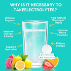Venture Pal Sugar Free Electrolytes Powder Packets - Image 5