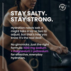 Venture Pal High Sodium Sugar-Free Electrolyte Powder Packets - Image 3