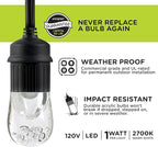 Enbrighten Classic Warm White String Lights, 36ft Black Cord, 18 Shatterproof - Image 4