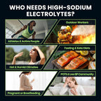 Venture Pal High Sodium Sugar-Free Electrolyte Powder Packets - Image 4