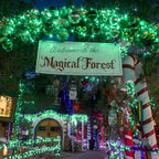 suddus Green Christmas Lights Battery Operatd, 66ft 200LED St Patricks Day - Image 2