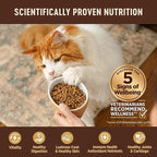 Wellness CORE Adult Dry Cat Food, Grain Free Kibble, Turkey Meal and Chicken - Image 4