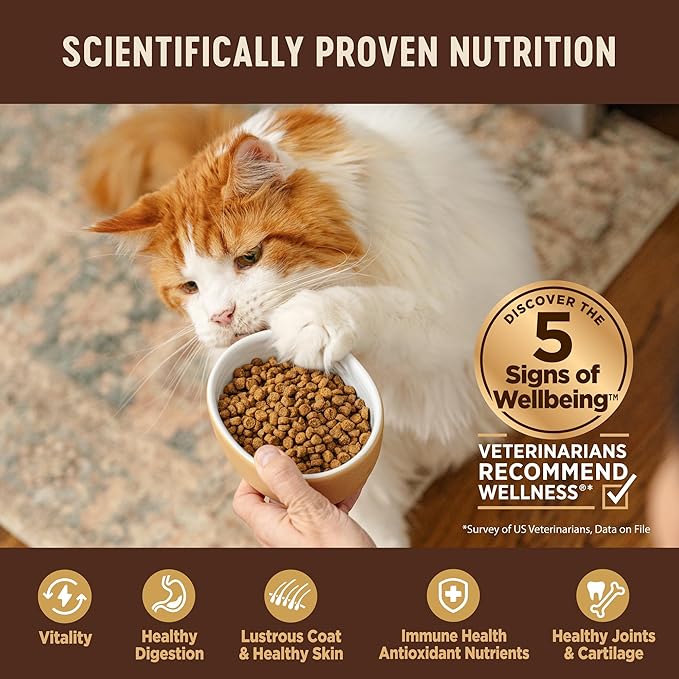 Wellness CORE Kitten Dry Cat Food, Grain Free Kibble, Turkey Meal and Chicken - Image 4