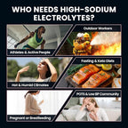 Venture Pal High Sodium Sugar Free Electrolytes Powder Packet, Zero Calories - Image 5