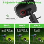Solar Lights Outdoor Motion Sensor, Spot Landscape Lighting - Image 4