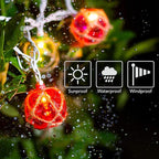 Brillarlights Nautical Fishing Float String Lights, Beach Themed Buoy Lights - Image 4