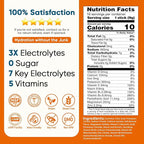 Venture Pal Sugar Free Electrolyte Powder Packets - Image 7
