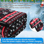 Riakrum 12V Car Heated Blanket for Cold - Image 5
