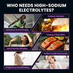 Venture Pal High Sodium Sugar-Free Electrolyte Powder Packets - Image 4