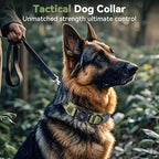 2026 Upgrade Waterproof AirTag Dog Collar, Military Tactical Dog Collar - Image 2