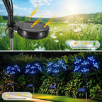 Solar Garden Lights 2 Pack Waterproof Solar Swaying Starburst Light Outdoor - Image 4