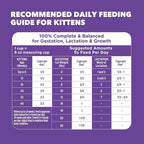 IAMS Proactive Health Kitten Dry Cat Food, Healthy Kitten Food Dry Recipe - Image 9