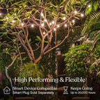 Brightech Ambience Pro LED String Lights - 26 Ft Commercial Grade Patio Lights - Image 3