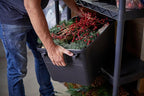 Plano Storage Trunks - Image 16
