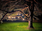 Magictec LED Shatterproof String Lights Commercial Grade - Image 2