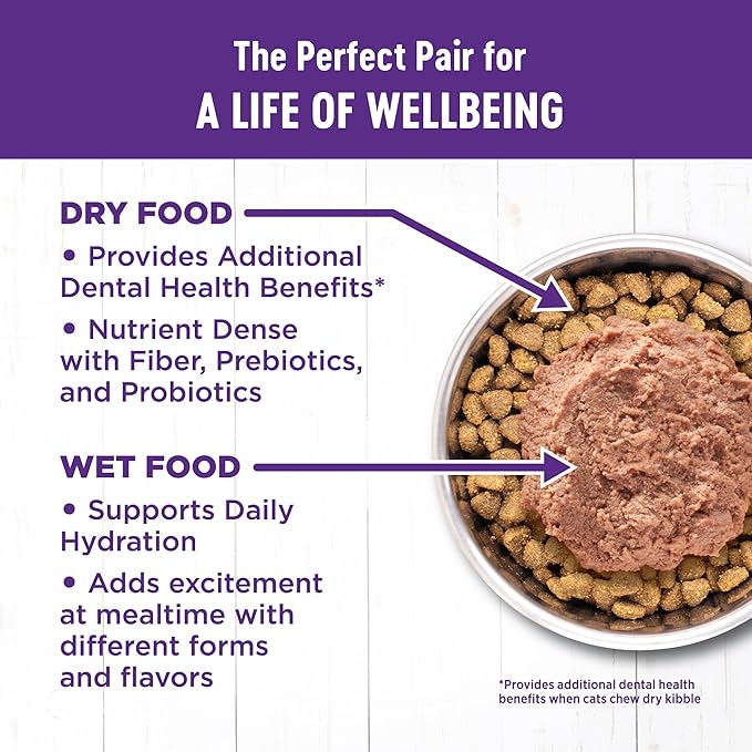 Wellness Complete Health Senior Dry Cat Food, Grain Free Kibble, Chicken Recipe - Image 5