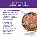 Wellness Complete Health Kitten Dry Cat Food, Grain Free Kibble, Chicken Recipe - Image 5