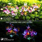 Adecorty Solar Garden Lights Outdoor Waterproof Decorative Solar Lights Outdoor - Image 2