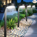 Ahaorigin 8 Pack Solar Pathway Lights Outdoor, 12 Brighter LED Solar Lights by AHAORIGIN