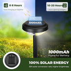 Kingsyard 8 Pack Solar Pathway Lights Outdoor Waterproof IP67, Bright Color - Image 2