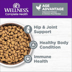 Wellness Complete Health Senior Dry Cat Food, Grain Free Kibble, Chicken Recipe - Image 2