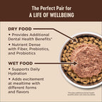Wellness CORE Adult Dry Cat Food, Grain Free Kibble, Turkey Meal and Chicken - Image 6
