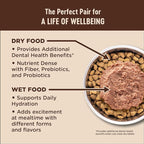 Wellness CORE Adult Dry Cat Food, Grain Free Kibble, Turkey Meal and Duck Recipe - Image 6