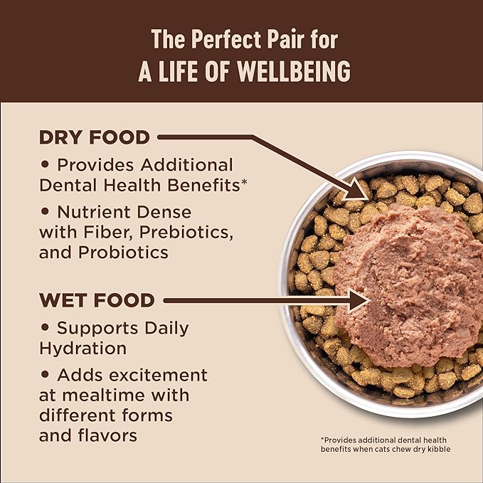 Wellness CORE Adult Dry Cat Food, Grain Free Kibble, Turkey Meal and Duck Recipe - Image 6