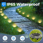 Peasur Mini Solar Ground Lights, 24 Pack Flat Solar Disc Lights Outdoor - Image 4