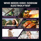 Venture Pal High Sodium Sugar-Free Electrolyte Powder Packets - Image 4
