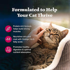 Blue Buffalo Wilderness Natural Adult Dry Cat Food, High-Protein and Grain-Free - Image 4