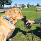 lesotc Dog Water Bottle, Portable Water Dispenser - Image 6