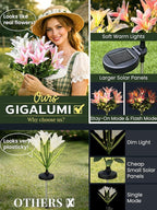 GIGALUMI Solar Garden Lights, 2 Pack LED Lily Garden Decor Carefree Solar - Image 4
