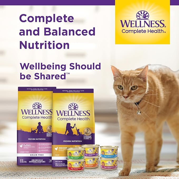 Wellness Complete Health Adult Dry Cat Food, Grain Free Kibble, Chicken Recipe - Image 7