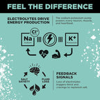 LMNT Zero Sugar Electrolytes - Image 5