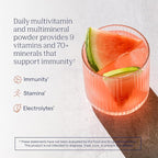 Trace Minerals | Power Pak Electrolyte Powder Packets | 1200 mg Vitamin C - Image 2