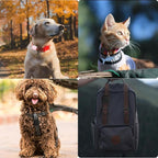 Waterproof Dog Collar Holder for Tile Life360 Mate 2024/2022 Tracker, Anti Lost - Image 5