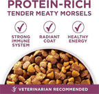 Purina ONE Plus Healthy Puppy Formula High Protein Natural Dry Puppy Food - Image 6